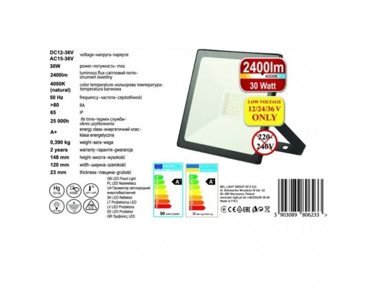 LED prožektorius 12V-36V 4000K 3