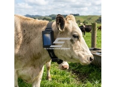 4G GPS gyvūnų sekimo įrenginys su saulės baterija | IP67 | 20000 mAh | realaus laiko sekimas | aktyvumo stebėjimas 4 4G GPS gyvūnų sekimo įrenginys su saulės baterija | IP67 | 20000 mAh | realaus laiko sekimas | aktyvumo stebėjimas 4