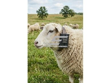 4G GPS gyvūnų sekimo įrenginys su saulės baterija | 20000 mAh | IP67/IP68 | ±5 m tikslumas | Geo-zonos funkcija | nuotolinis valdymas 3 4G GPS gyvūnų sekimo įrenginys su saulės baterija | 20000 mAh | IP67/IP68 | ±5 m tikslumas | Geo-zonos funkcija | nuotolinis valdymas 3