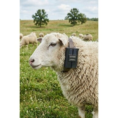 4G GPS dzīvnieku izsekošanas ierīce ar saules bateriju | 20000 mAh | IP67/IP68 | ±5 m precizitāte | geo-zonas funkcija | attālināta vadība 3