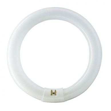 Apaļa luminiscences lampa G10q | 22W | 62V | 6500K | 1250lm | Philips Apaļa luminiscences lampa G10q | 22W | 62V | 6500K | 1250lm | Philips
