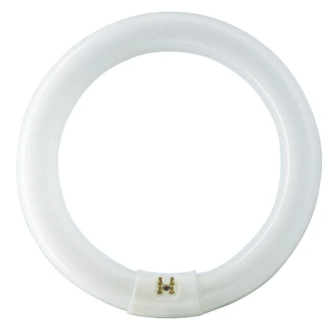 Okrągła lampa fluorescencyjna G10q | 22W | 62V | 4000K | 1285lm | Philips