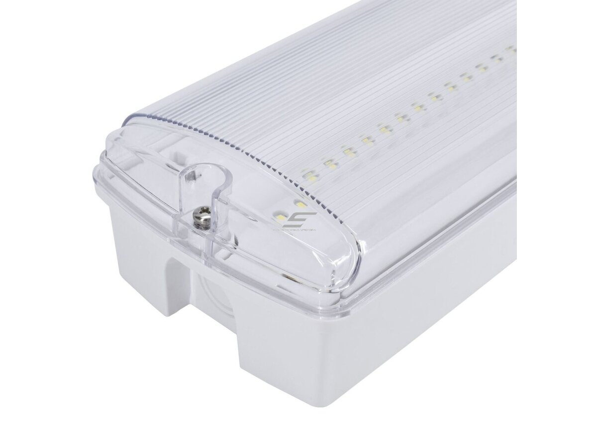 Avarinis šviestuvas | evakuacinis | su lipdukais | 3,5W | 6500K | 150lm | 230V | 352x110x68mm | 3h | IP65 | virštinkinis | Luxmena | C90-GLR-3ZP-MT3H-CNBOP | 5900280968098 1