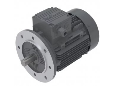 Elektros variklis | 0,18kW (0,25hp) | 230/400V | 1390 aps/min | flanšinis | IP55 | 2EL063M4C-FA-A0-000