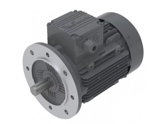 Elektros variklis | 0,25kW (0,33hp) | 230/400V | 2800 aps/min | flanšinis | IP55 | 2EL063M2B-FA-A0-000
