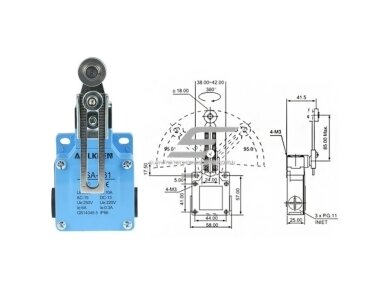 Mechaninis galinės padėties (galinukas) jungiklis su ratuku | 10A | 250VAC | IP66 4 Mechaninis galinės padėties (galinukas) jungiklis su ratuku | 10A | 250VAC | IP66 4