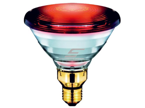 Infraraudonųjų spindulių | šiluminė lemputė E27 | 150W | 230V | raudona | Philips 1
