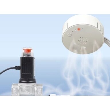 Smart | carbon monoxide CO and natural gas CH4 leakage detector with siren and gas valve control | 230V | IoT Smart | carbon monoxide CO and natural gas CH4 leakage detector with siren and gas valve control | 230V | IoT