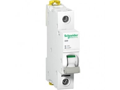 Modulinis kirtiklis | 1P | 125A | 250V | DIN | Schneider Electric | iSW | A9S65192 Modulinis kirtiklis | 1P | 125A | 250V | DIN | Schneider Electric | iSW | A9S65192