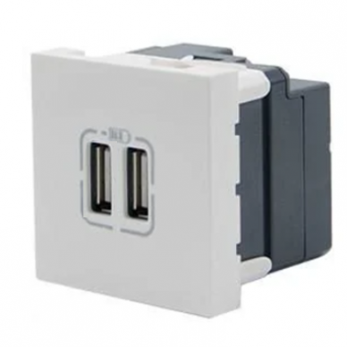 USB-A socket | 2 gangs | 2 modules | 2400mA | 5V | flush-mounted | white USB-A socket | 2 gangs | 2 modules | 2400mA | 5V | flush-mounted | white