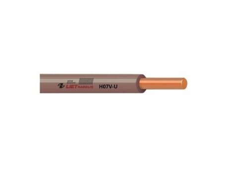 Laidas 10mm2 | varinis | viengyslis | monolitinis | H07V-U 10 | 1m | rudas