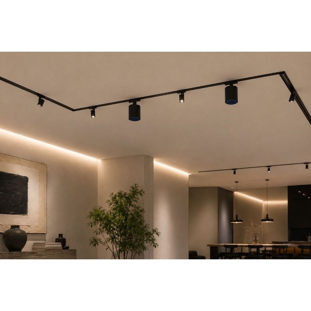 Virziena skaļrunis | 6mm magnētiskajai sliedei | ar Bluetooth | 10W | 24-48VDC | Ø65x75mm | melns 7 Virziena skaļrunis | 6mm magnētiskajai sliedei | ar Bluetooth | 10W | 24-48VDC | Ø65x75mm | melns 7