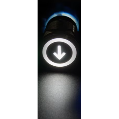 Push Button | 22mm | 230V | 1NO | white | with LED illumination | with arrow symbol | IP65