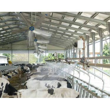 Livestock cooling system with presence sensors | sprinklers + sensors | Coolibrì | F94901 2 Livestock cooling system with presence sensors | sprinklers + sensors | Coolibrì | F94901 2