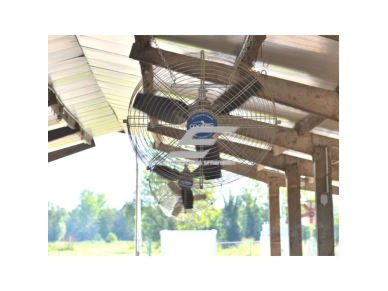Pramoninis kryptinis ventiliatorius AGILE | Ø700 mm | 9 100 m³/h | 0,5 kW | 400 V | IP65 | F05075 2 Pramoninis kryptinis ventiliatorius AGILE | Ø700 mm | 9 100 m³/h | 0,5 kW | 400 V | IP65 | F05075 2