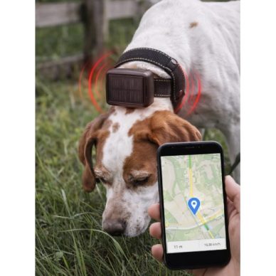 4G GPS animal tracking device with solar panel | IP65 | up to 1 year operation | GPS + Beidou | vibration alarm | 6000 mAh 3 4G GPS animal tracking device with solar panel | IP65 | up to 1 year operation | GPS + Beidou | vibration alarm | 6000 mAh 3