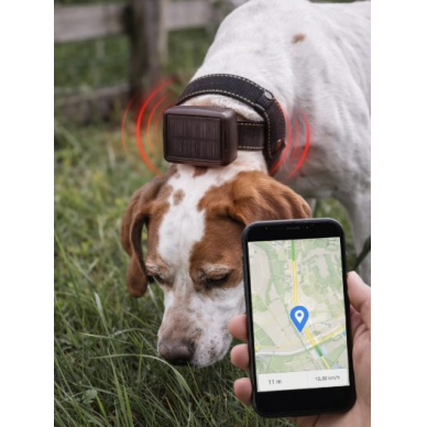 4G GPS dzīvnieku izsekošanas ierīce ar saules bateriju | IP65 | līdz 1 gada darbība | GPS + Beidou | vibrācijas signāls | 5200 mAh 3