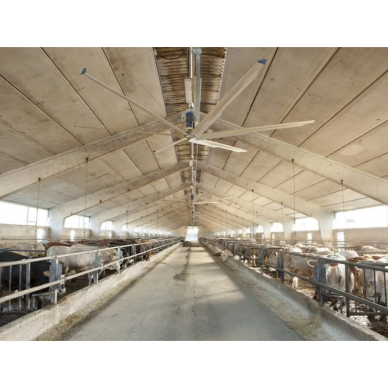 Промышленный потолочный вентилятор HVLS SAGE II | Ø6 м | 274 000 м³/ч | 2,2 кВт | 400 В | IP55 | F54602 1 Промышленный потолочный вентилятор HVLS SAGE II | Ø6 м | 274 000 м³/ч | 2,2 кВт | 400 В | IP55 | F54602 1