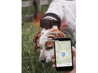 4G GPS gyvūnų sekimo įrenginys su saulės baterija | IP65 | iki 1 metų veikimas | GPS + Beidou | vibracijos signalas | 5200 mAh 3 4G GPS gyvūnų sekimo įrenginys su saulės baterija | IP65 | iki 1 metų veikimas | GPS + Beidou | vibracijos signalas | 5200 mAh 3