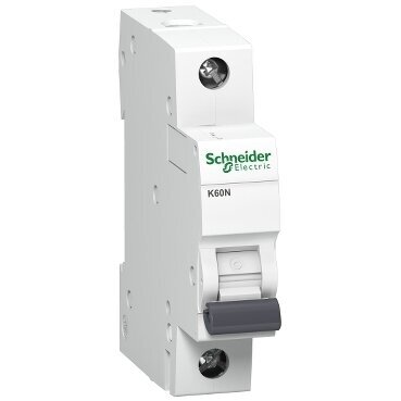 Moodulkaitselüliti | 1P | 2A | C-karakteristik | 6kA | DIN | MCB | Schneider Electric | K60N | Acti9 | A9K02102 Moodulkaitselüliti | 1P | 2A | C-karakteristik | 6kA | DIN | MCB | Schneider Electric | K60N | Acti9 | A9K02102