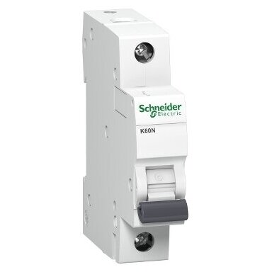 Modular circuit breaker | 1P | 2A | C curve | 6kA | DIN | MCB | Schneider Electric | K60N | Acti9 | A9K02102