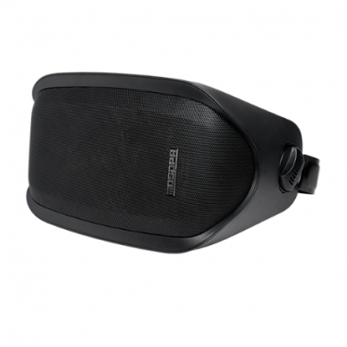 Wall-mounted speaker | waterproof | 100V | 20W | 90±2dB | black | ABS + aluminum construction
