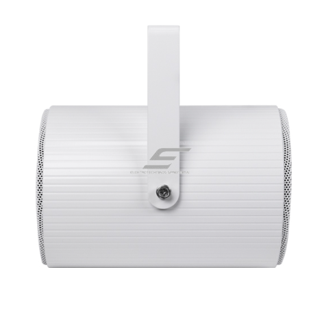 Sienas skaļrunis | Divvirzienu skaņas projekcija | 70V/100V | 20W | Skaidra un virzīta skaņa | 2×5" skaļruņi 2