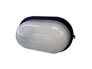 Hermetinis šviestuvas | E27 | 100W | 230V | 162x115x280mm | virštinkinis | IP54 | juodas | Brilight | CT-O100A | 2050710202025 Hermetinis šviestuvas | E27 | 100W | 230V | 162x115x280mm | virštinkinis | IP54 | juodas | Brilight | CT-O100A | 2050710202025
