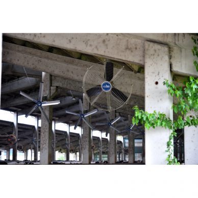 Ventilaatori varulaba | Ø4 m HVLS | alumiiniumsulam EN AW-6061-T6 | Coolibrì | XTPAL3.4001 2