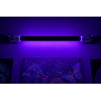 UV BLB fluorescences lampa fluorescences efektiem | F4 T5 | 4W | 365 nm | AC 230V ±10% | taisna stikla | CFL | 8000 h | nav dimmējama 1 UV BLB fluorescences lampa fluorescences efektiem | F4 T5 | 4W | 365 nm | AC 230V ±10% | taisna stikla | CFL | 8000 h | nav dimmējama 1