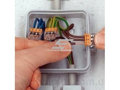 Gnybtas | elektros laidų jungtis | 2x2,5mm² | monolitiniam laidui | WAGO | 2273-202 | 4050821027843